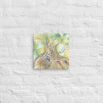 "Looking Up" Tree Stretched Canvas Print Wall Art