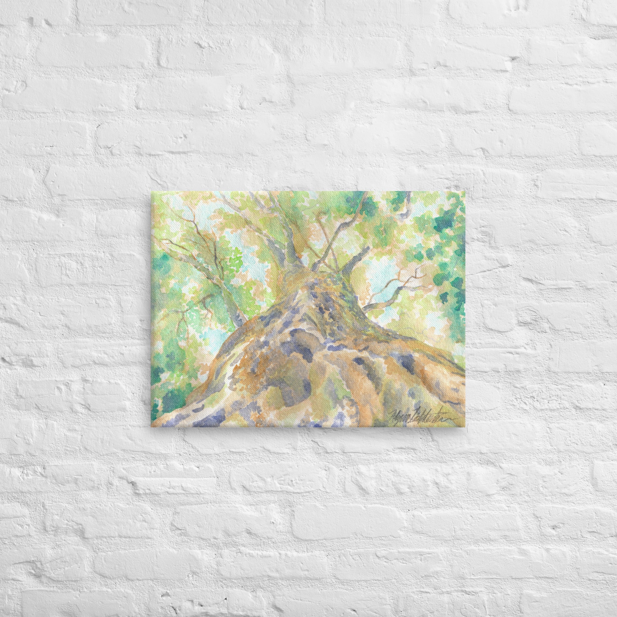 "Looking Up" Tree Stretched Canvas Print Wall Art