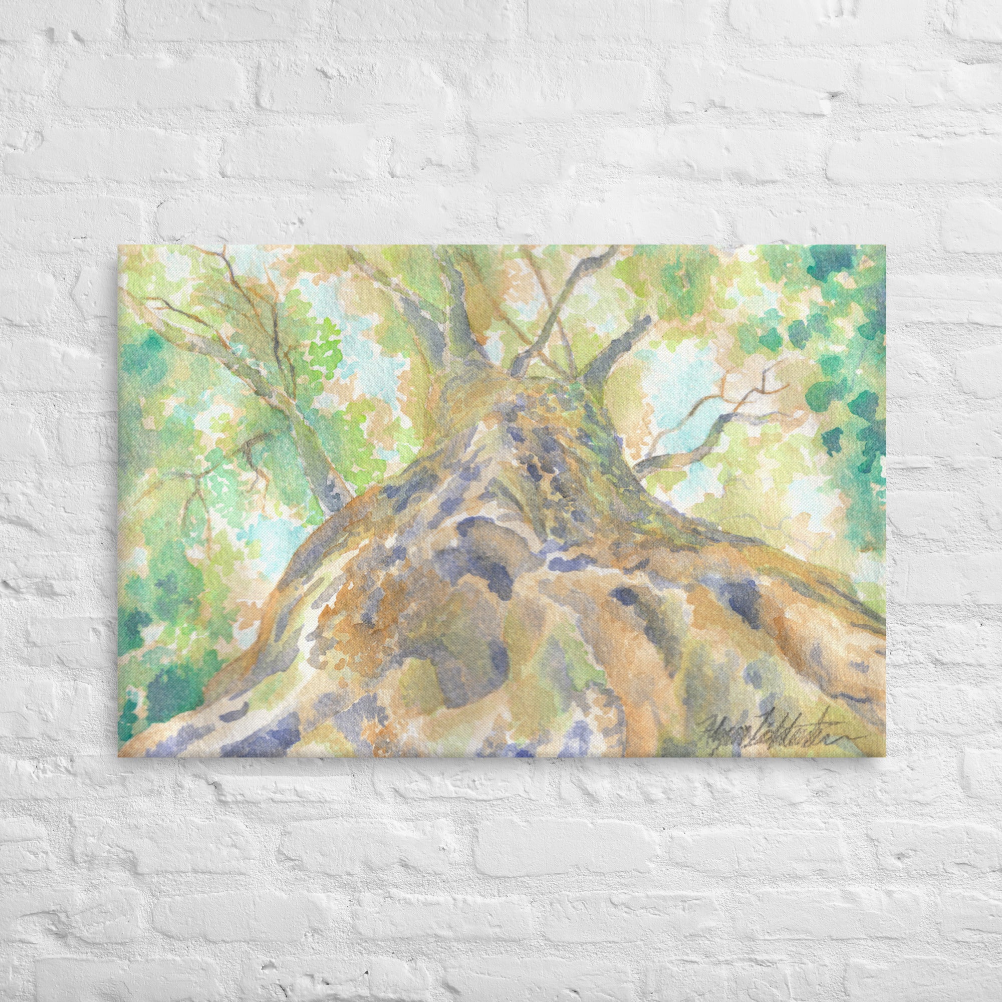 "Looking Up" Tree Stretched Canvas Print Wall Art