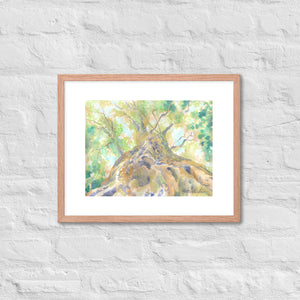 Looking Up #1 Framed Wall Art Print