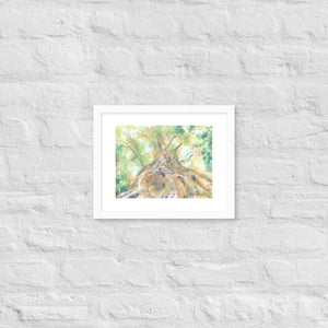 Looking Up #1 Framed Wall Art Print